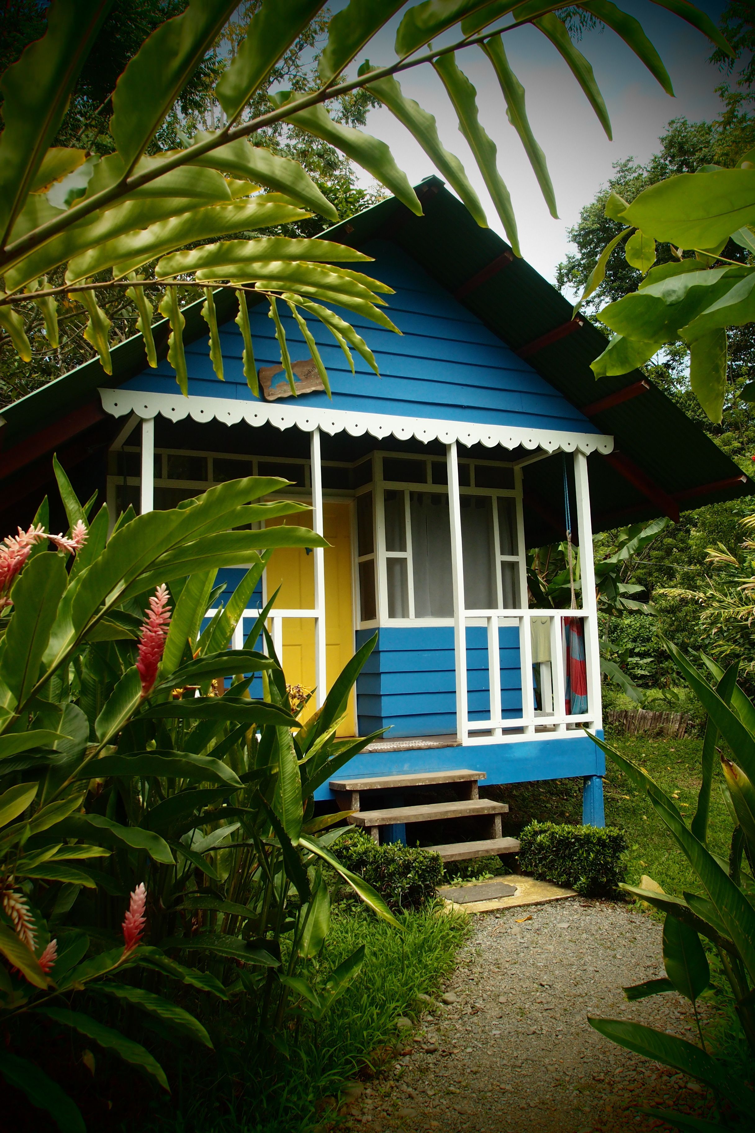 A small, single-story house with a blue exterior and white trim, surrounded by lush greenery.