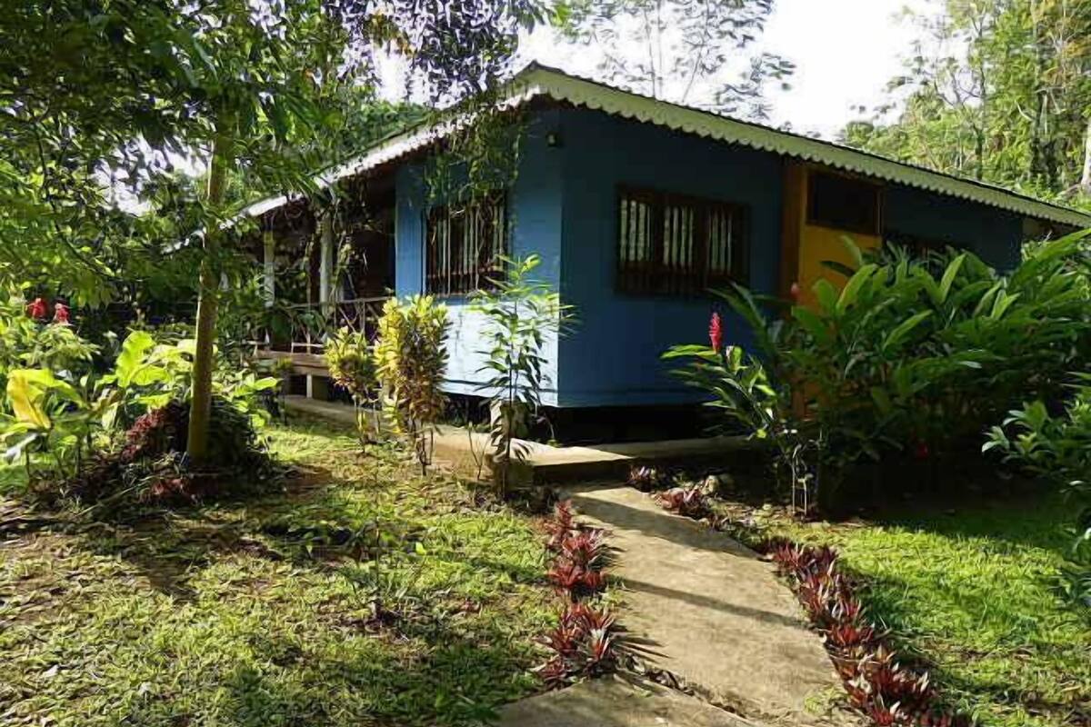 A small, single-story house with a blue exterior and a covered porch.