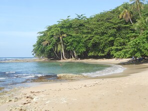 A beach with clear water, sandy shore, and dense green foliage. - Casitas Mar y Luz (Cahuita)