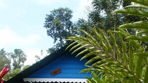 Bungalow Premium 3 Per (Kitchenette) | Halaman properti