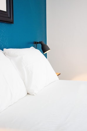 PRIVATE EURO ROOM (Private Room, shared bathroom with a full-sized bed. Sleeps 2.)