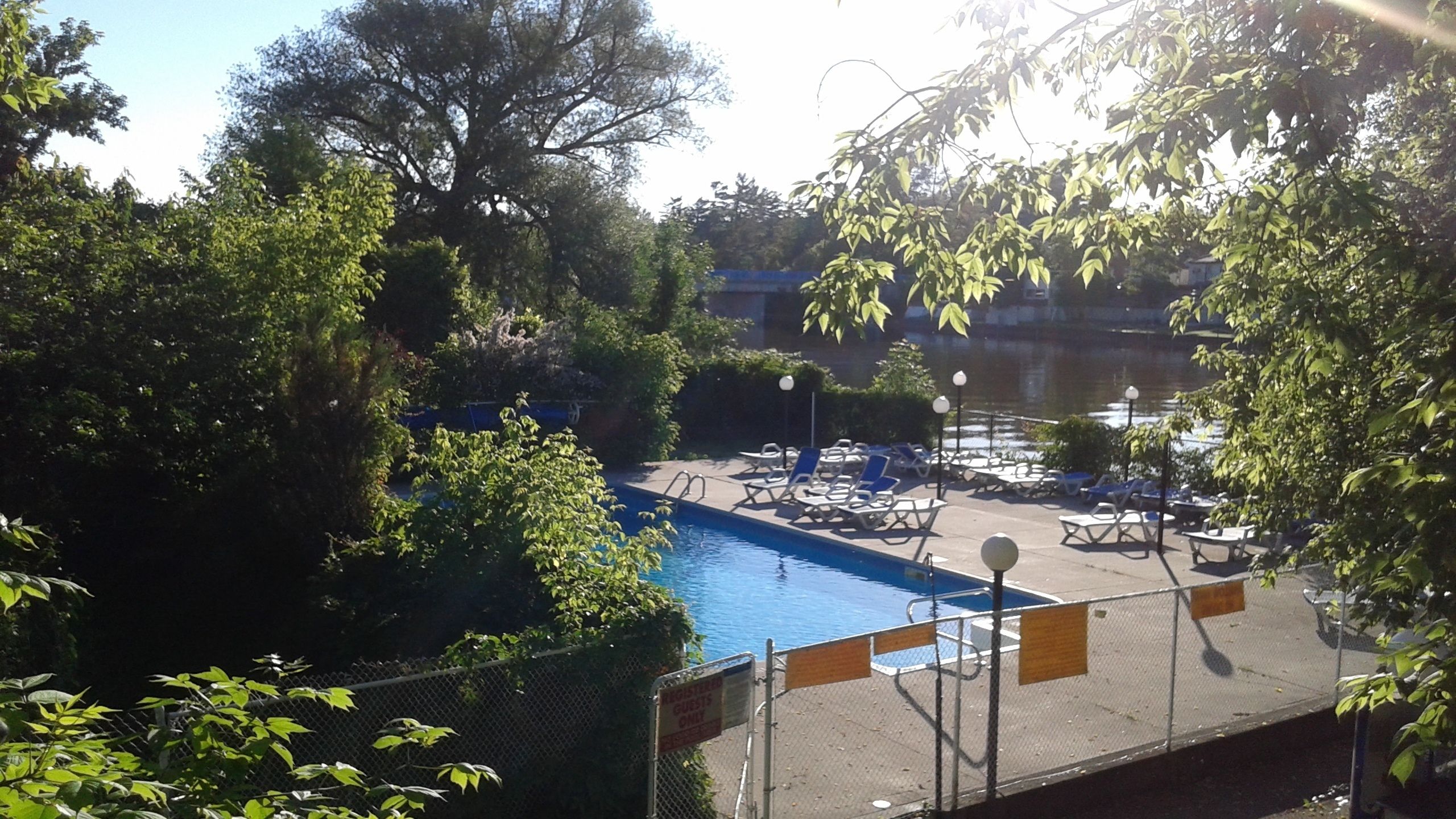 Seasonal outdoor pool, sun loungers