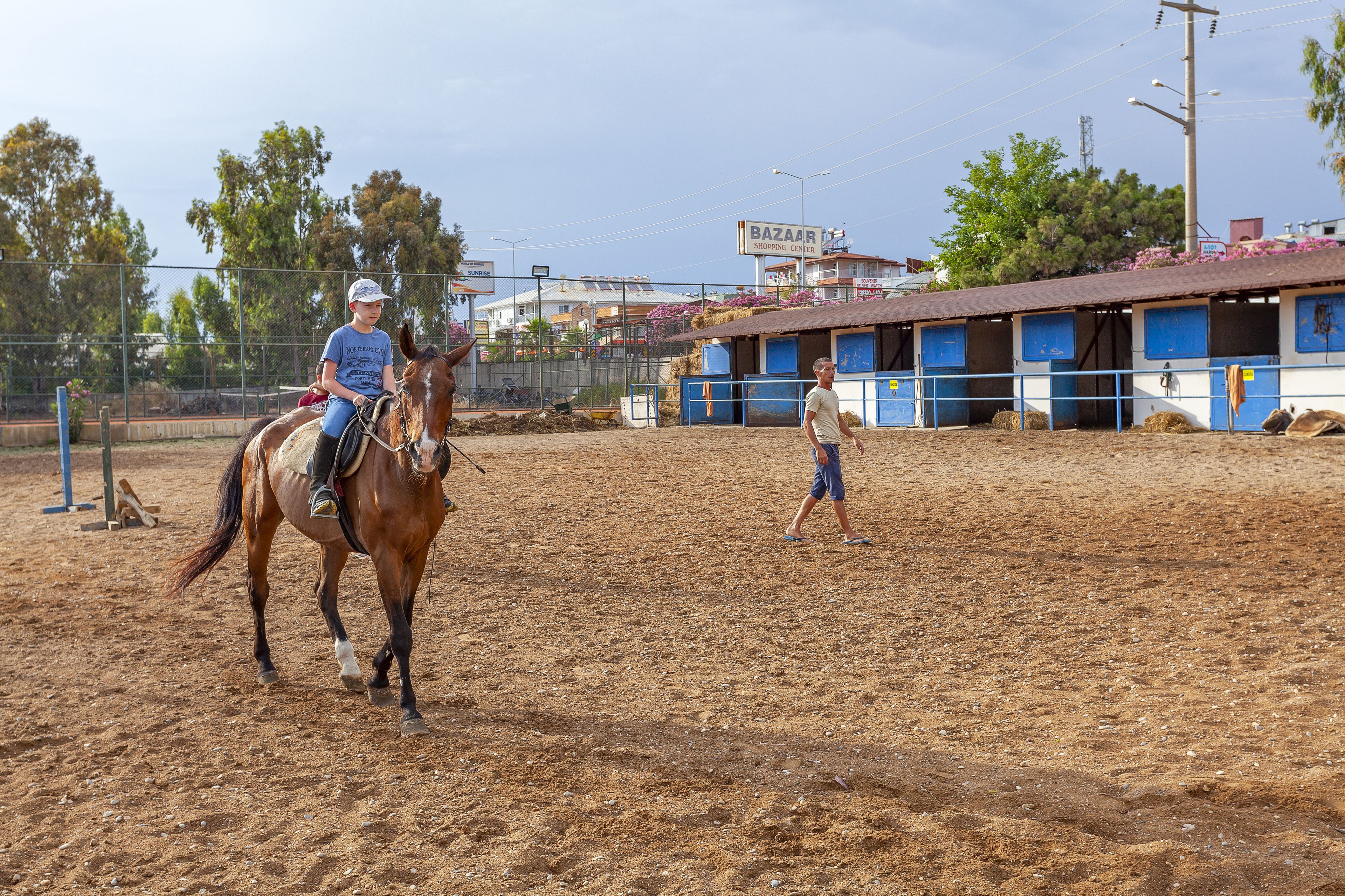 Un caballo en una arena con una persona montándolo.