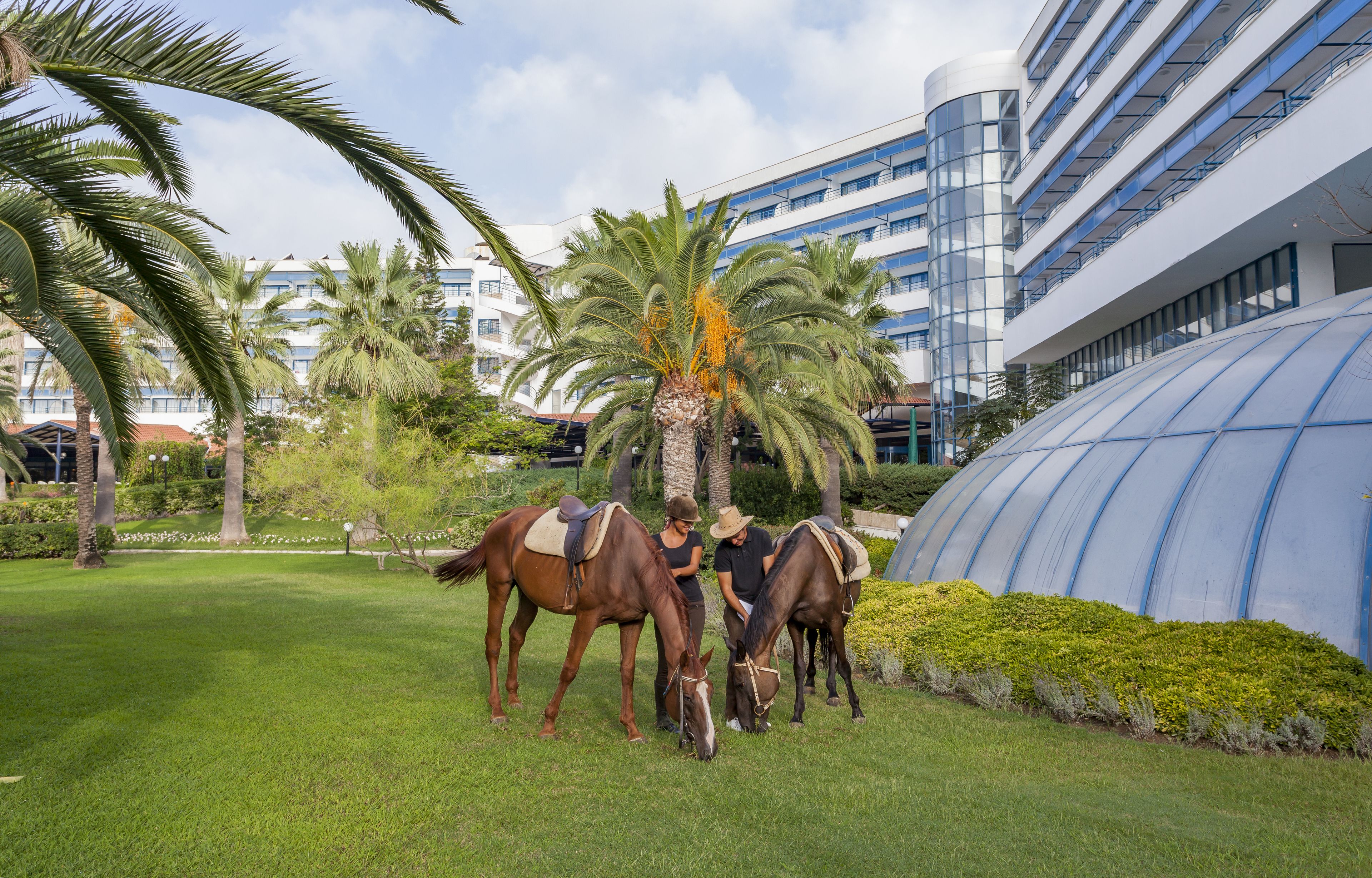 Foto - Starlight Resort Hotel