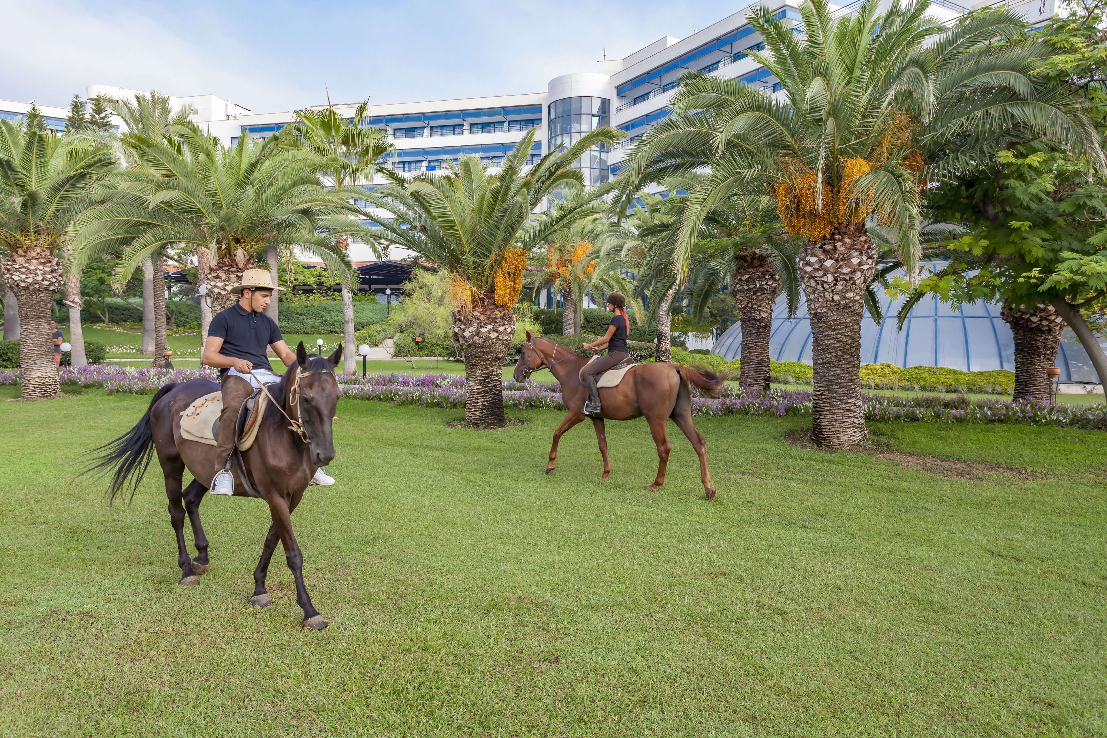 Photo - Starlight Resort Hotel