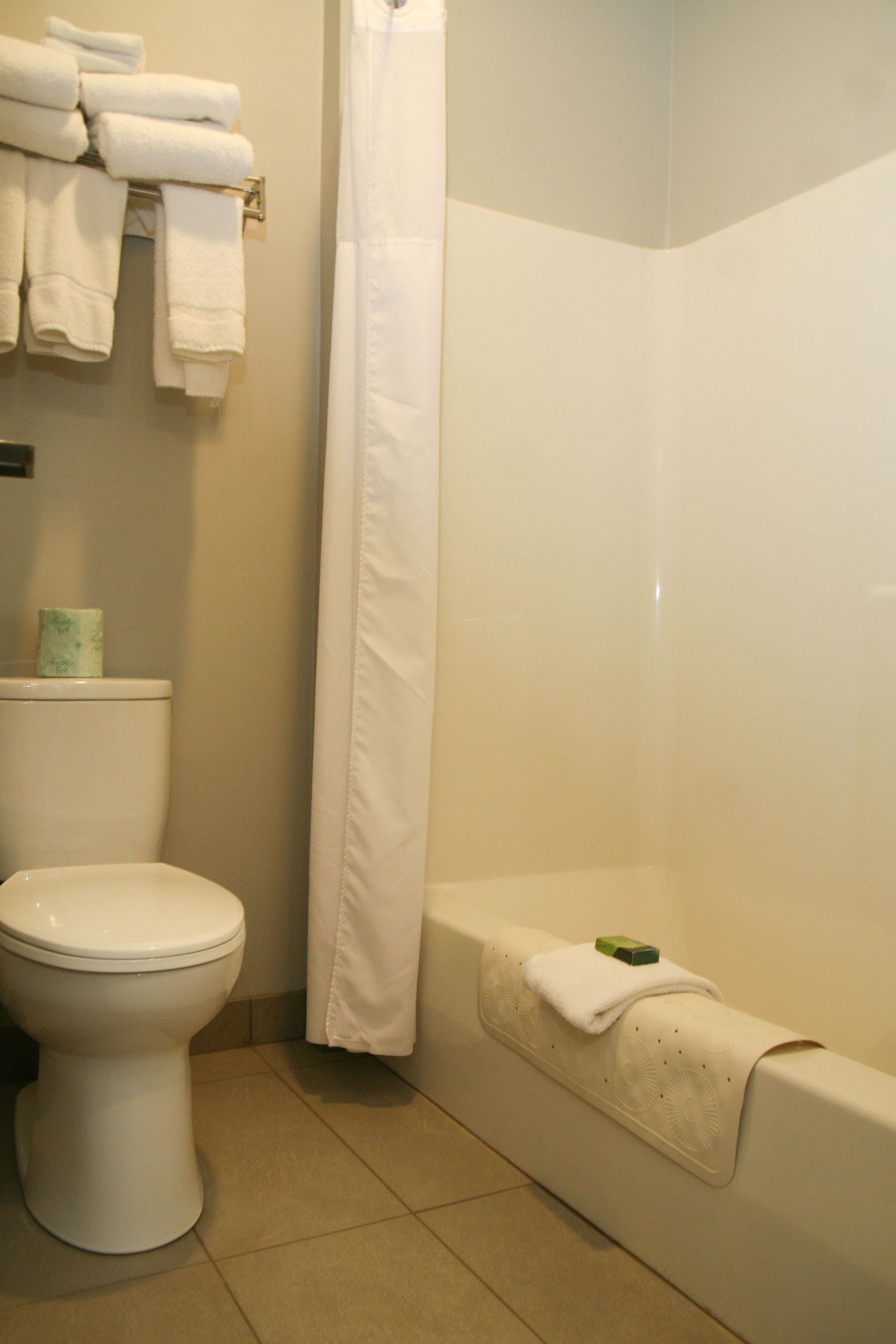 combined shower/bathtub, hair dryer, towels