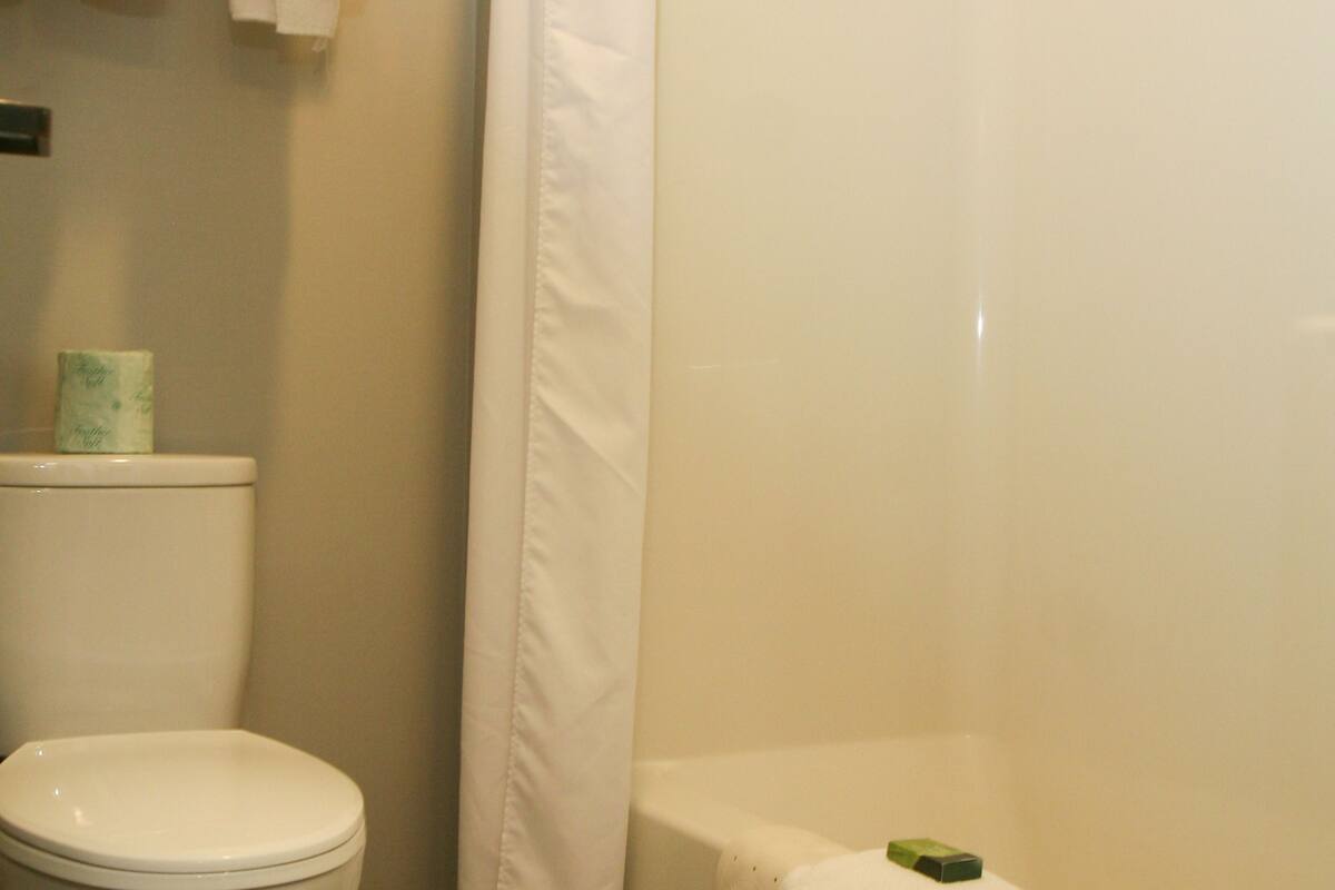 combined shower/bathtub, hair dryer, towels