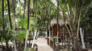 View from property - Maya Cabanas & Cenote Tulum (Tulum)