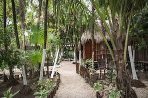 View from property - Maya Cabanas & Cenote Tulum (Tulum)