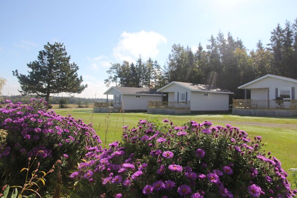 تفاصيل الفندق من الخارج