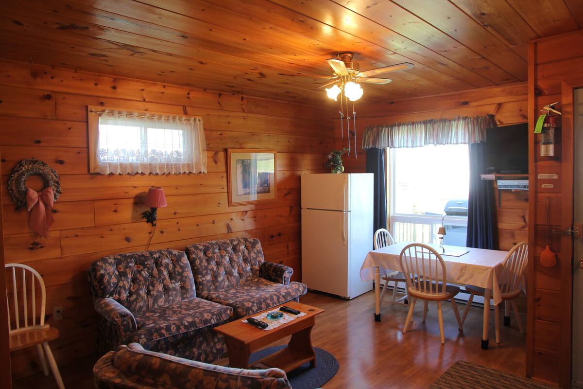 Ein gemütliches Cabin-Interieur mit Holzboden, Deckenventilator, Blumensofa, Kühlschrank, Esstisch mit Stühlen und einem Fenster mit Vorhängen.
