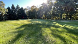 Un campo de golf bien cuidado, con un sendero despejado, una bandera que marca el hoyo y un fondo de árboles densos.