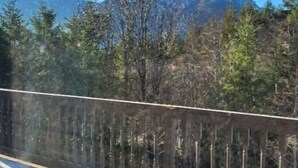 A snowy deck with a railing, a dog, and a mountain view. - Ridgeview Motor Inn (Gold River)