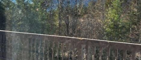 A snowy deck with a railing, a dog, and a mountain view.