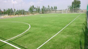 Un campo da calcio con linee bianche di delimitazione, circondato da una recinzione e alberi.