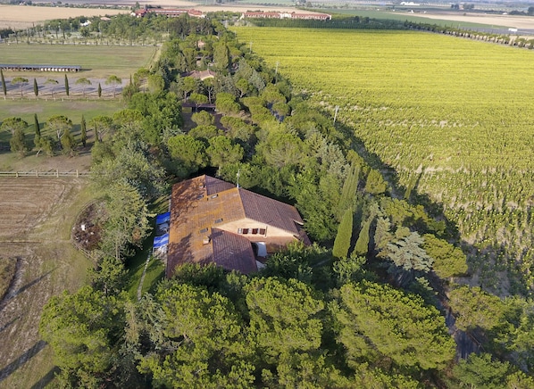 Vista aérea de una propiedad rural con una extensa viña, una casa con techo rojo y abundante vegetación.