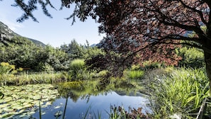 A serene pond surrounded by lush greenery and trees, reflecting the sky and surrounding vegetation. - Romantik Hotel & Restaurant Stafler (Campo di Trens)
