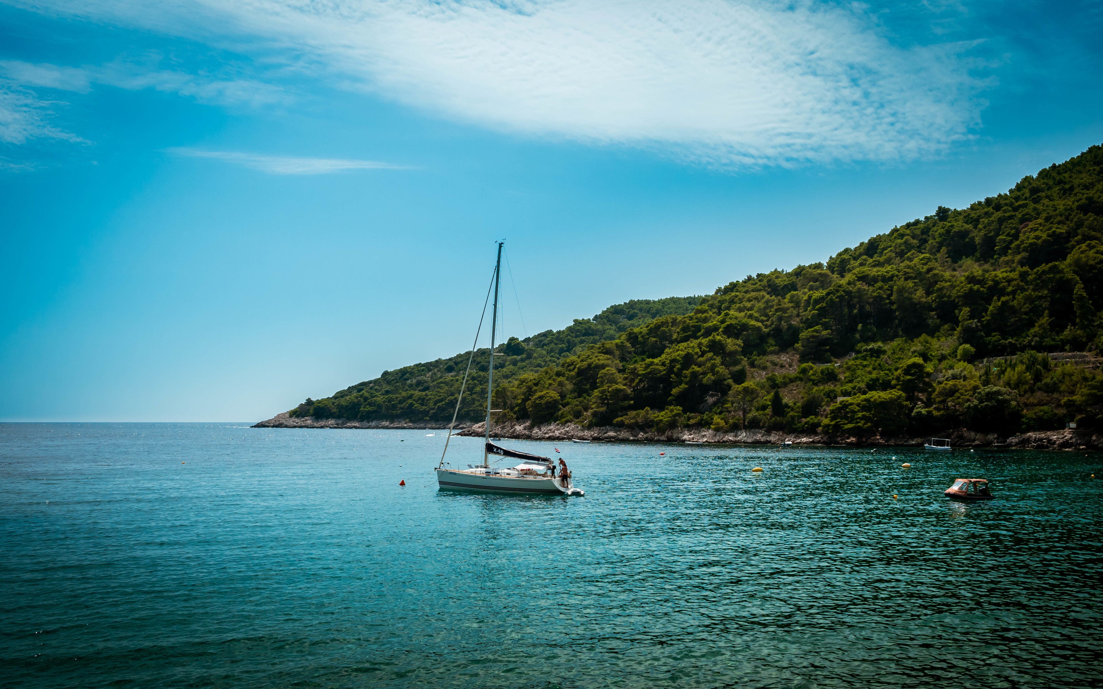 A sailboat anchored near a forested coastline under a clear sky.