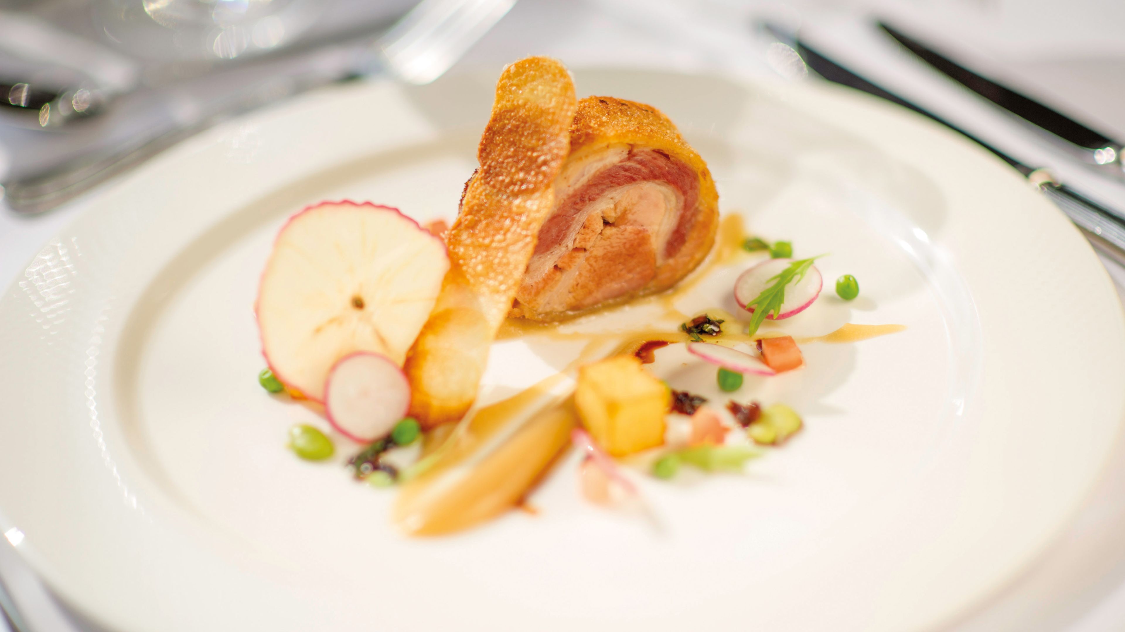 A plate with a rolled meat dish, apple slices, radish, and green peas.