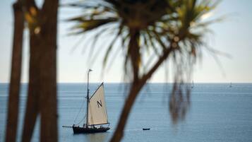 A sailboat with a flag on the water, palm tree leaves in the foreground, and a clear sky.
