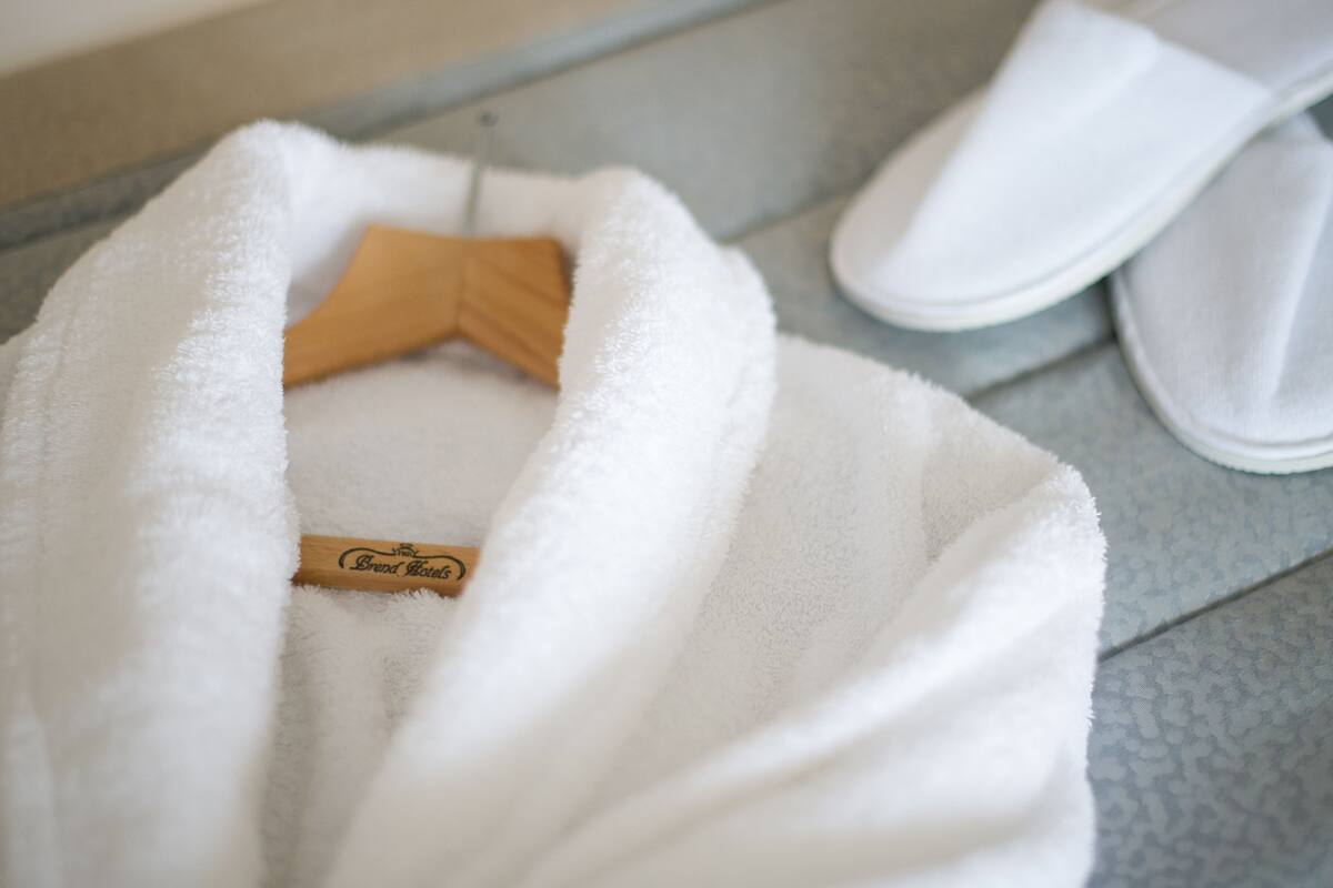 in-room safe, desk, iron/ironing board, free wifi