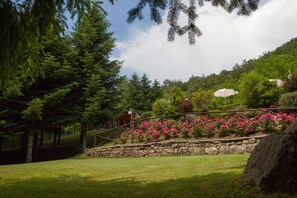 季節限定屋外プール、プール パラソル、サンラウンジャー