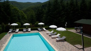 Ein Swimmingpool mit Liegestühlen und Sonnenschirmen, umgeben von einem angelegten Garten und Blick auf einen bewaldeten Hügel.