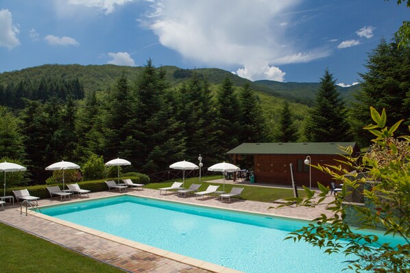 Seasonal outdoor pool, pool umbrellas, pool loungers