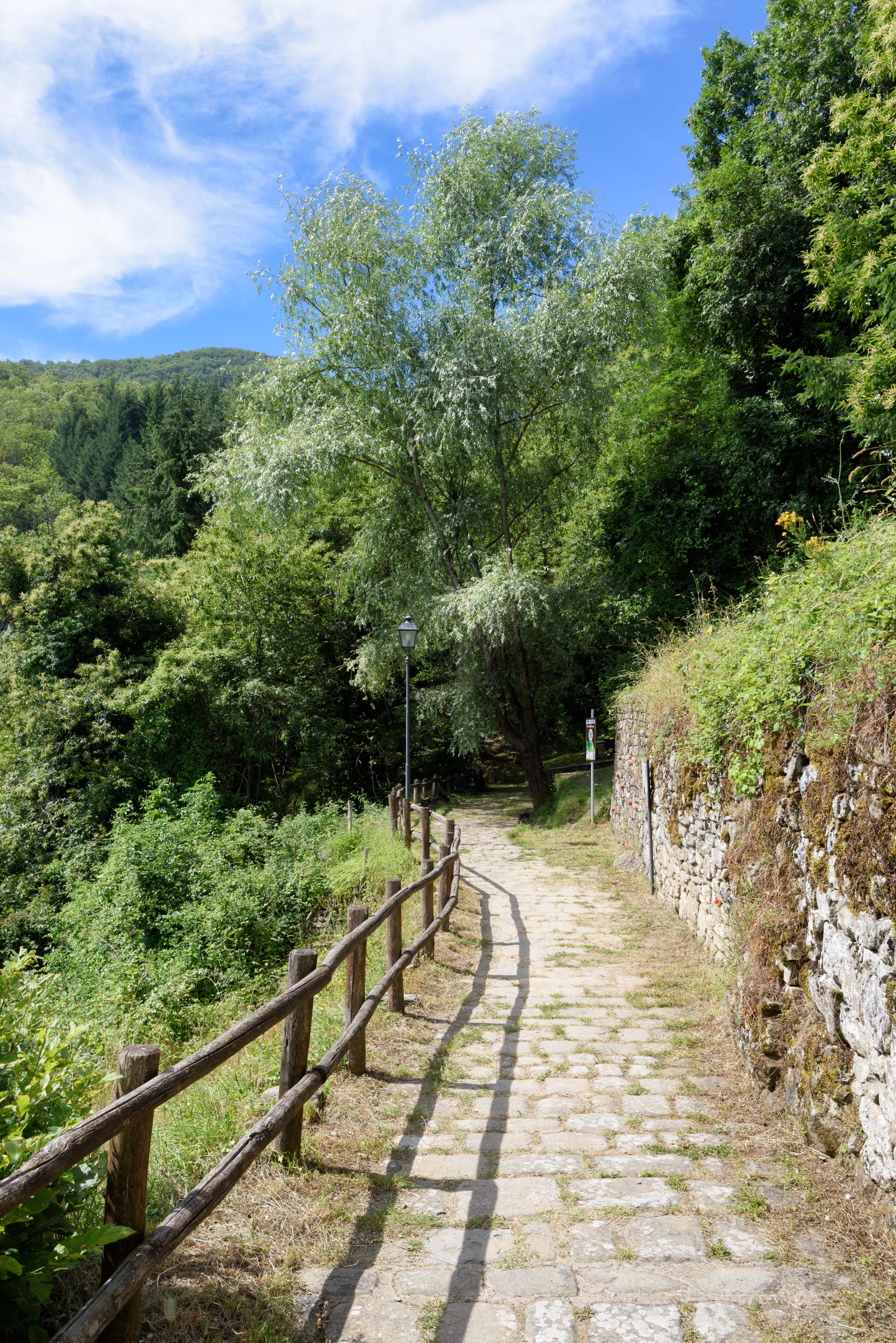 A stone pathway with a wooden fence, surrounded by lush greenery and trees.