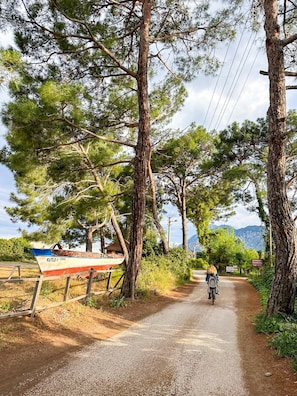 Explore scenic views and tranquil surroundings along a winding path leading to a serene body of water.
