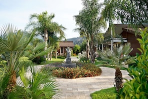 Stroll through the lush garden, surrounded by tropical plants and palm trees, leading to a serene atmosphere.