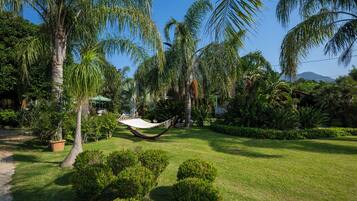 Svit Premium | Utsikt från rummet