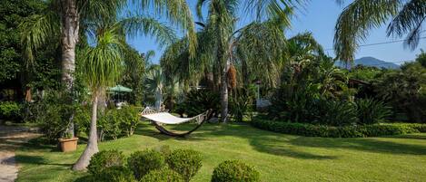 A lush garden with palm trees, a hammock, and a pathway.