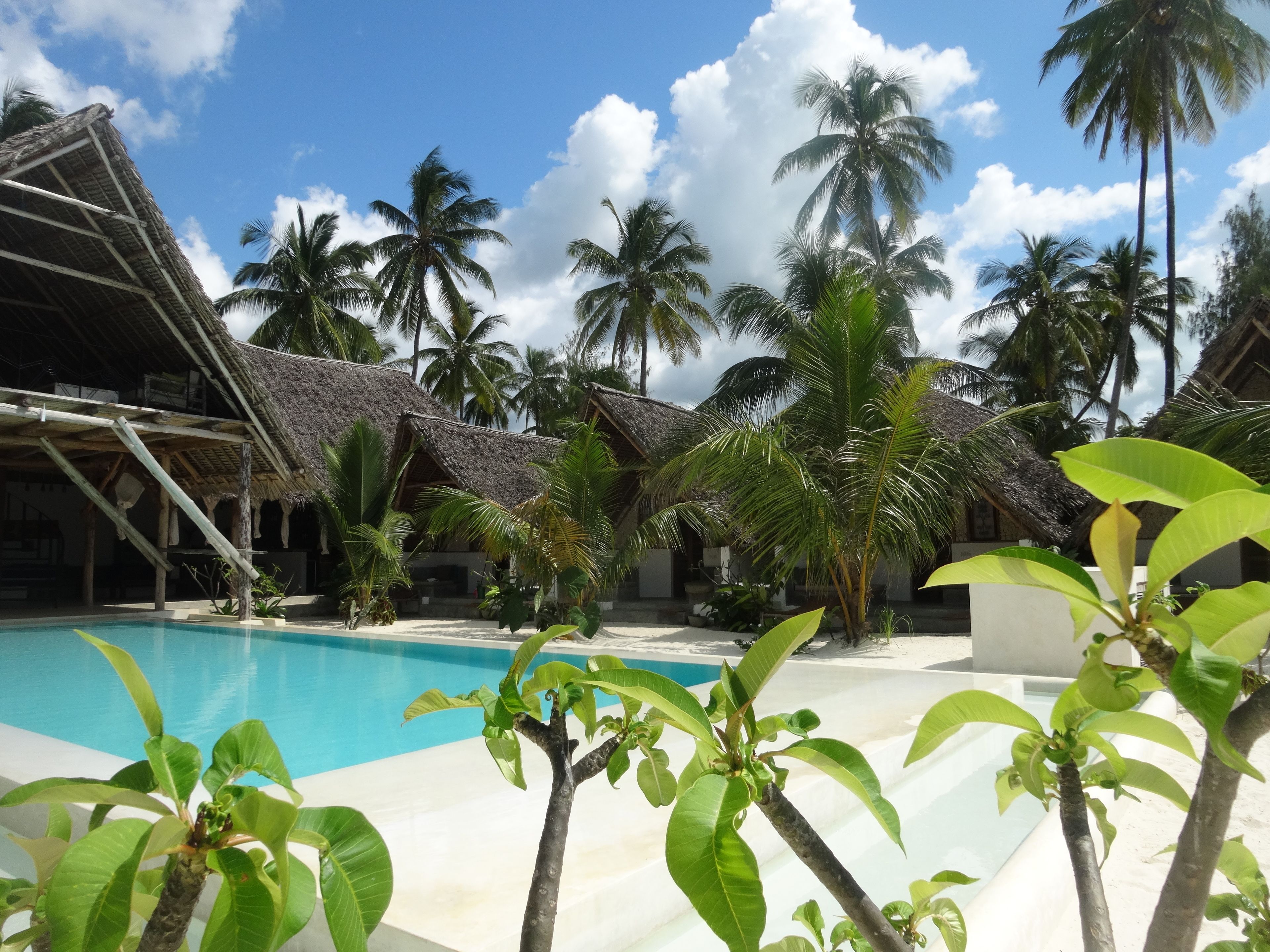 standard bungalow, 1 king bed, pool view | view from room