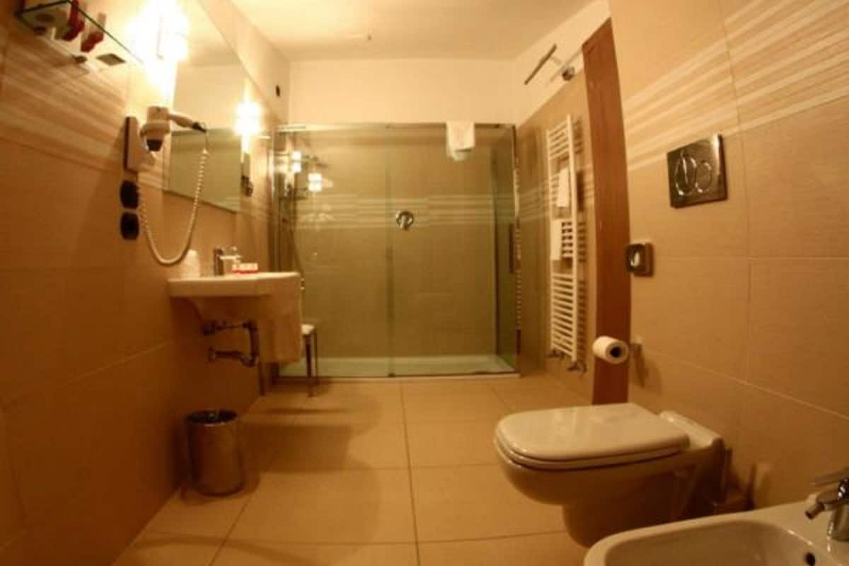 shower, free toiletries, bidet, towels