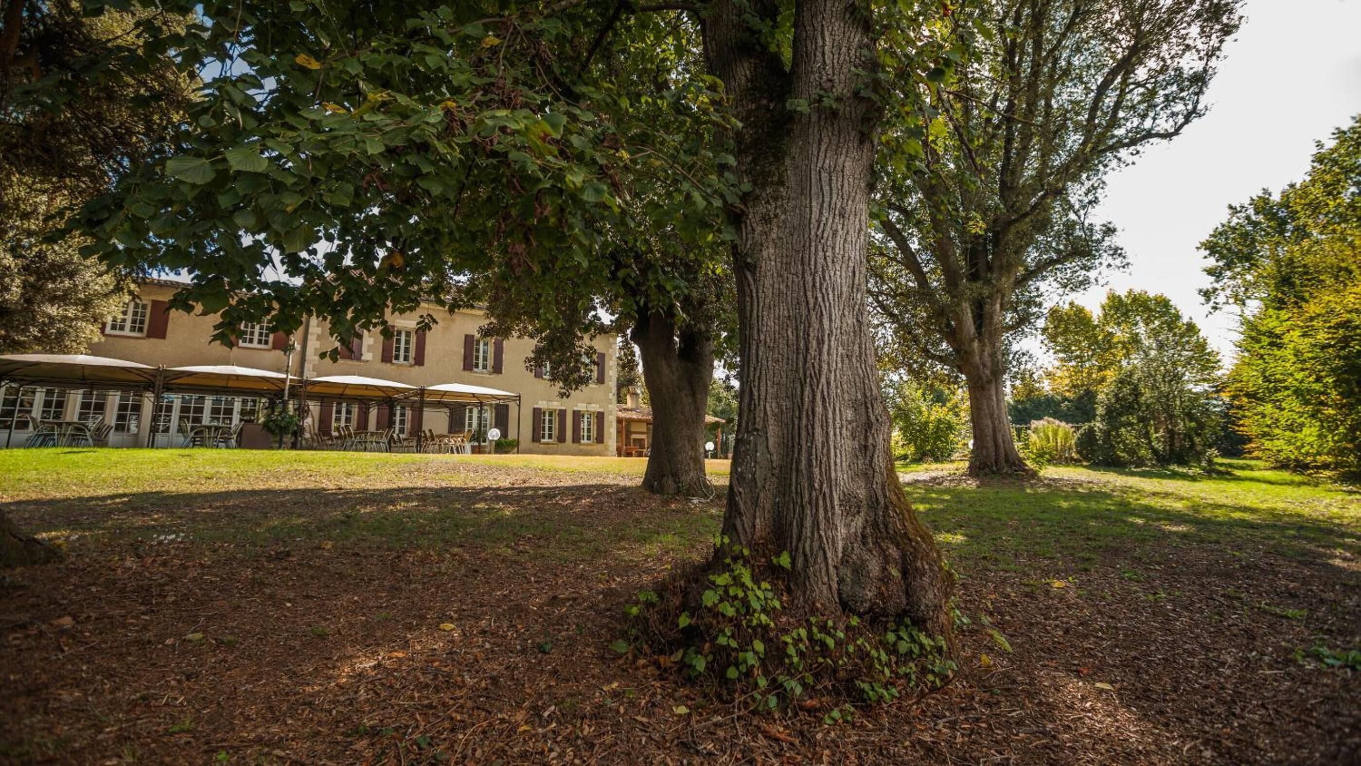 A building with a large tree in front, outdoor seating with umbrellas, and a grassy area.