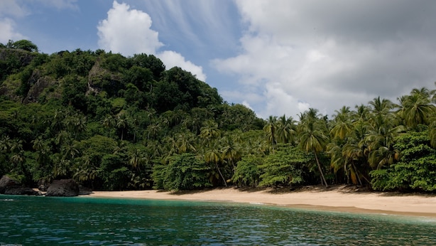 A tropical beach with clear turquoise waters, a sandy shore, and dense green foliage.