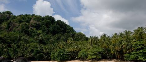 Free beach shuttle, scuba diving, snorkeling, kayaking