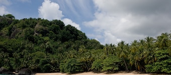 Belo Monte - Principe Collection