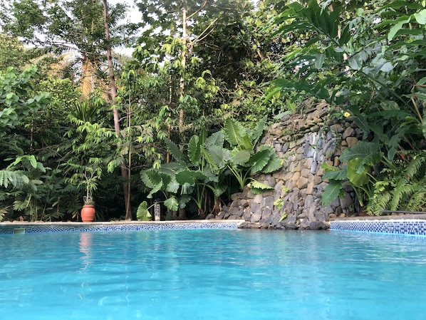 Una piscina al aire libre, cabañas de piscina gratuitas, sombrillas