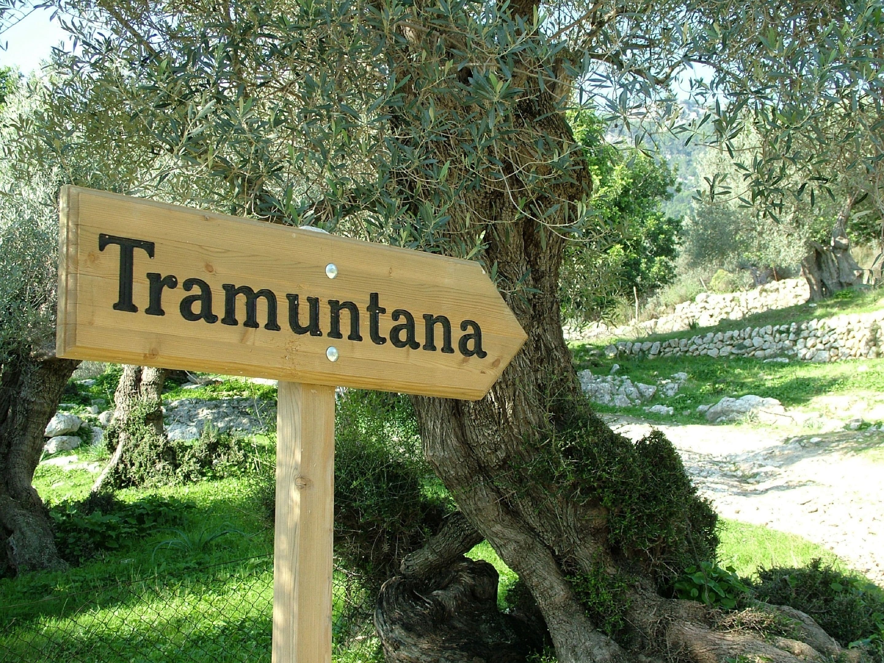 Photo - Monnàber Vell