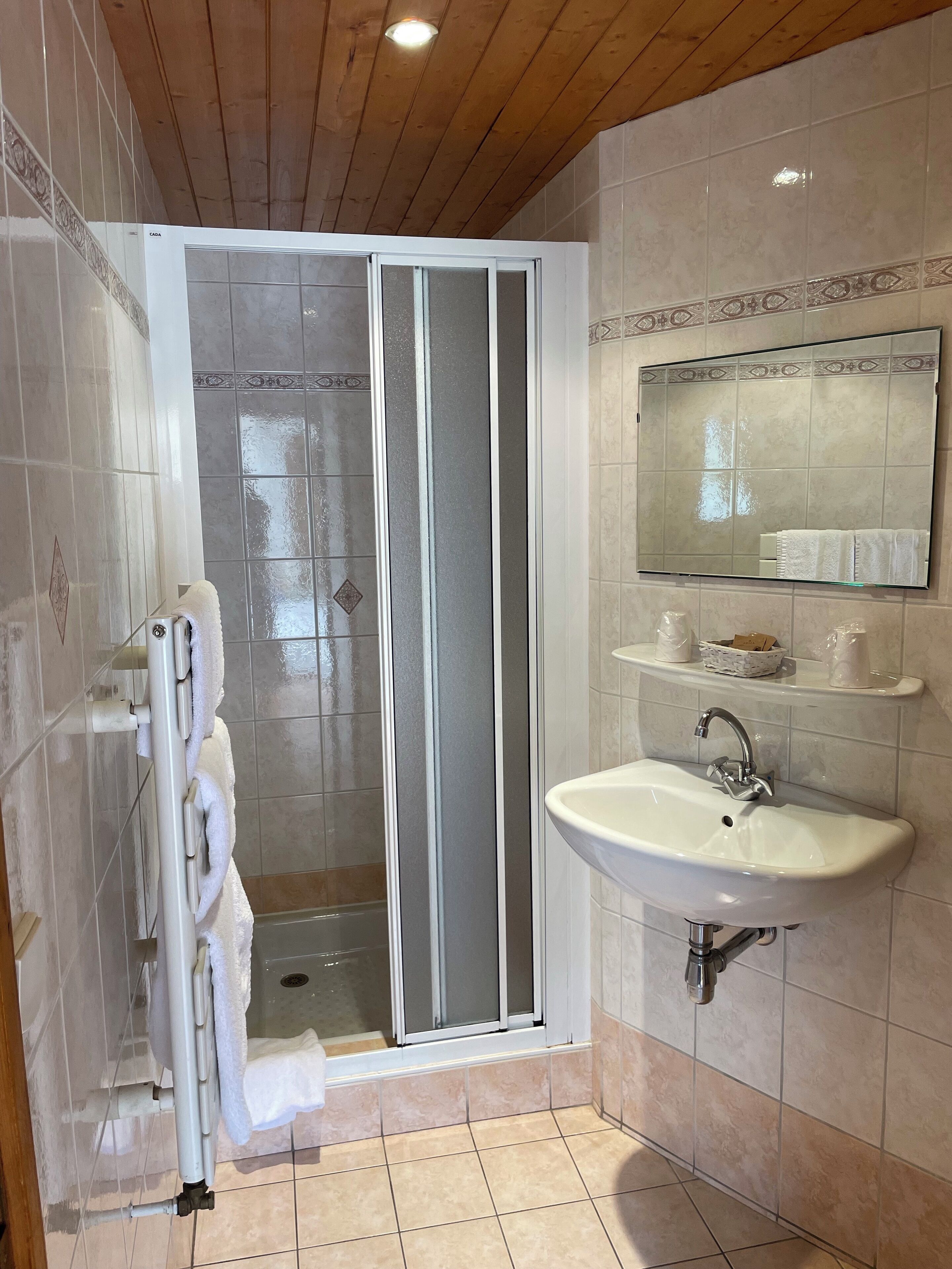 standard double room | bathroom | shower, free toiletries, hair dryer, towels