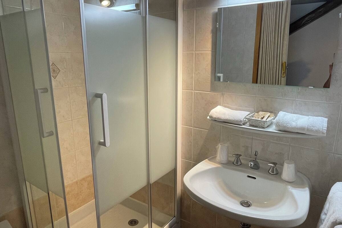 standard triple room | bathroom | shower, free toiletries, hair dryer, towels