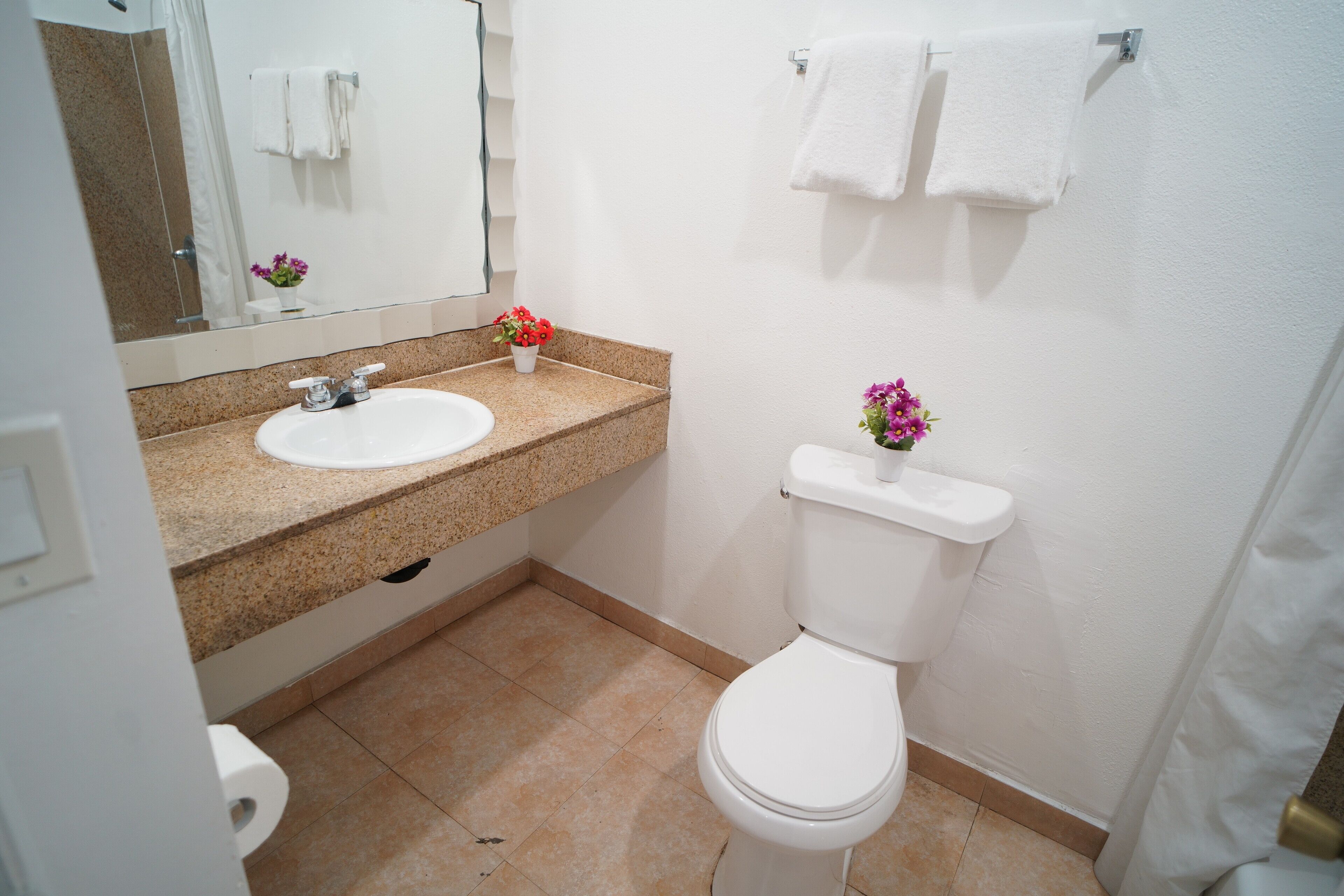 Single Room, 1 Queen Bed | Bathroom