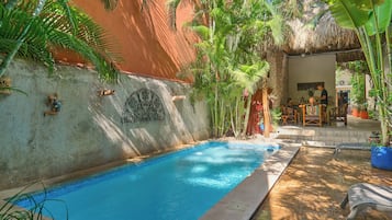 Outdoor pool, sun loungers