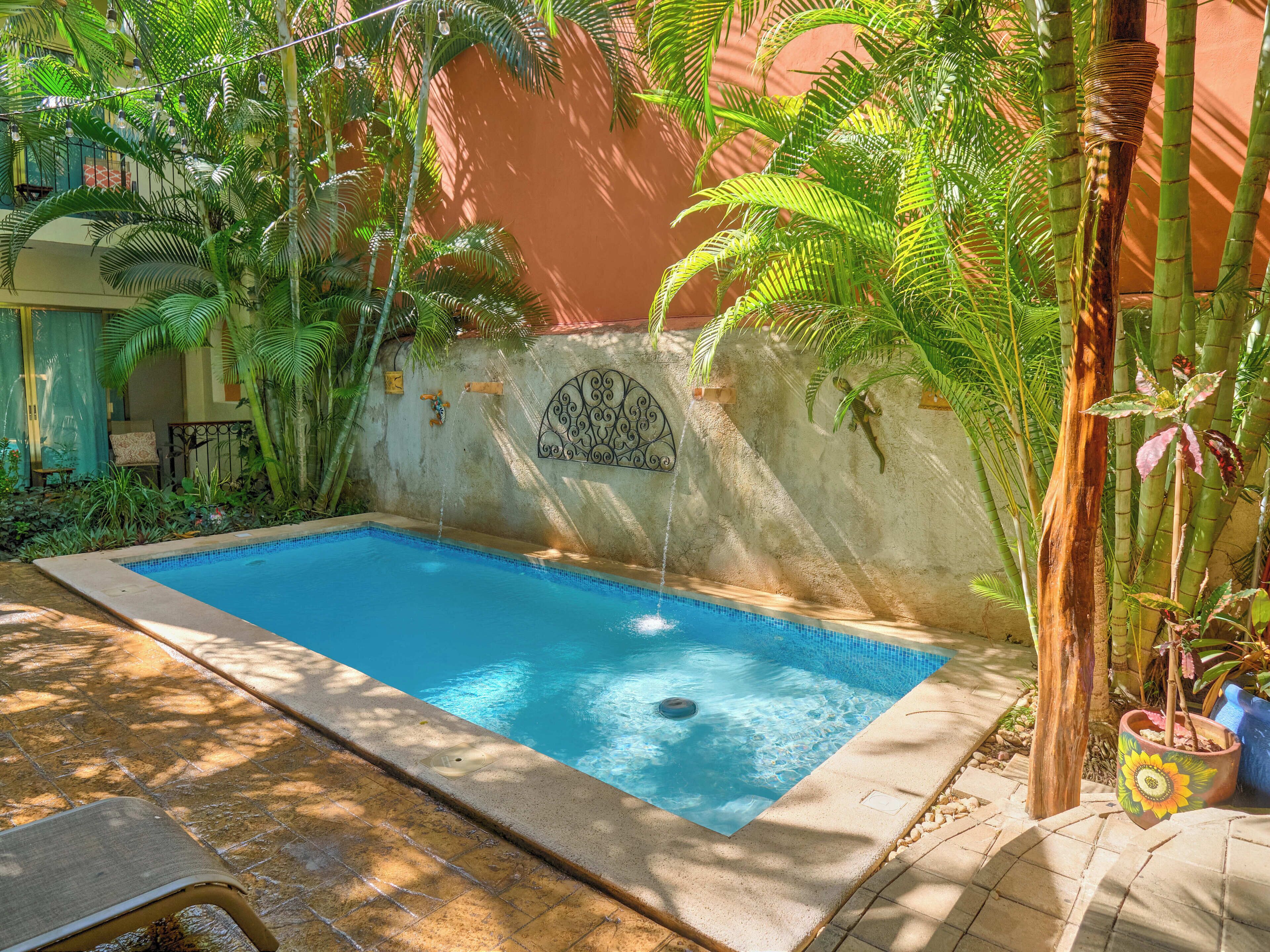 A swimming pool surrounded by lush greenery and a decorative wall.