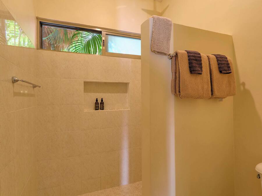 A bathroom with a shower, a toilet, and a window with a view of palm trees.
