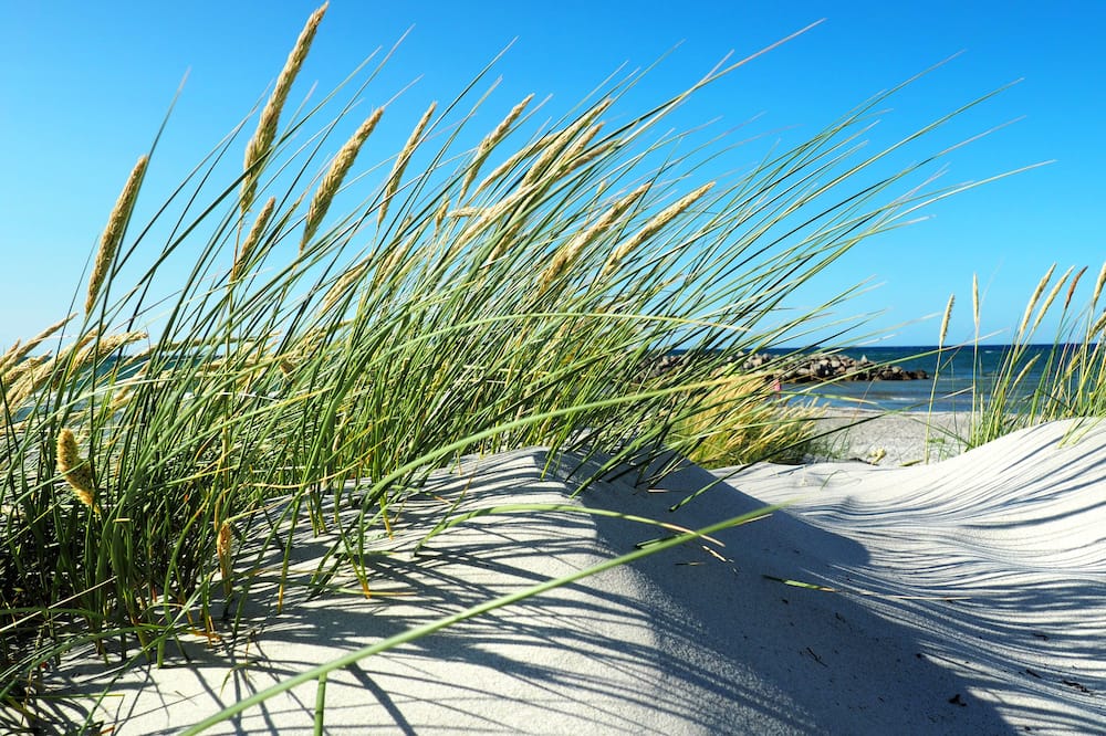 Hotel Max am Meer Kühlungsborn