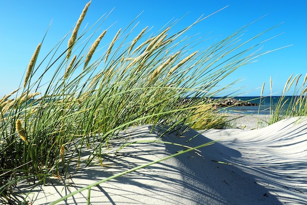 Beach nearby, white sand