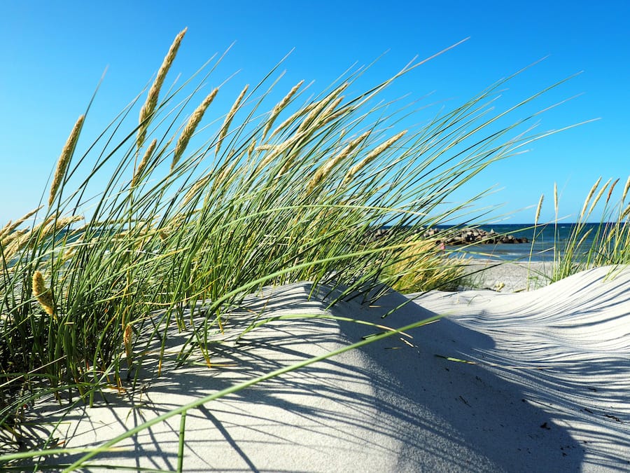 Beach nearby, white sand